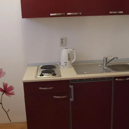 达尔马提亚别墅酒店 *