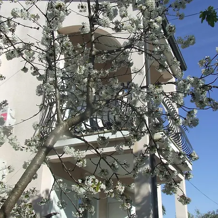 达尔马提亚别墅酒店