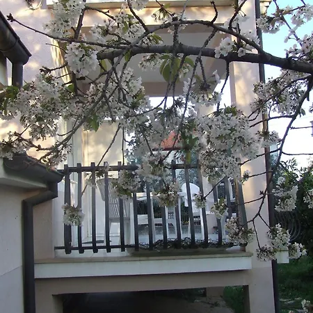 达尔马提亚别墅酒店