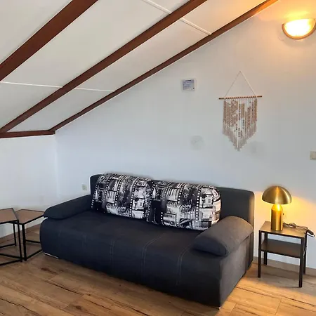 达尔马提亚别墅酒店 *