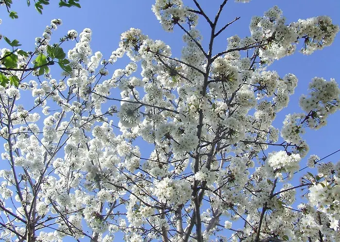 Apartamento Dalmatia Zadar